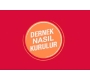 Dernek Nasıl Kurulur